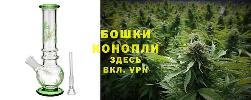 купить наркотик  Куса  Бошки марихуана White Widow 